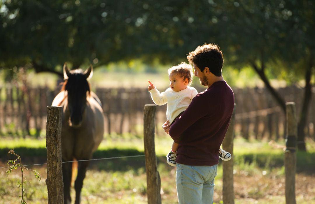 Father's Day Gift Ideas