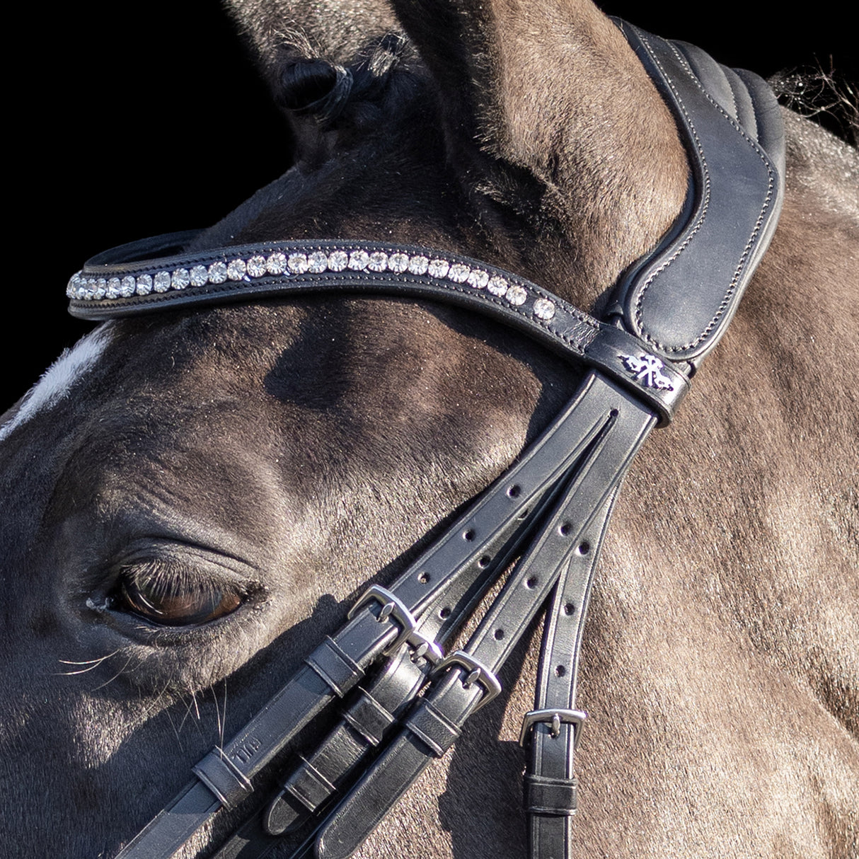 HV Polo Legacy Deluxe Weymouth Bridle #colour_black-white