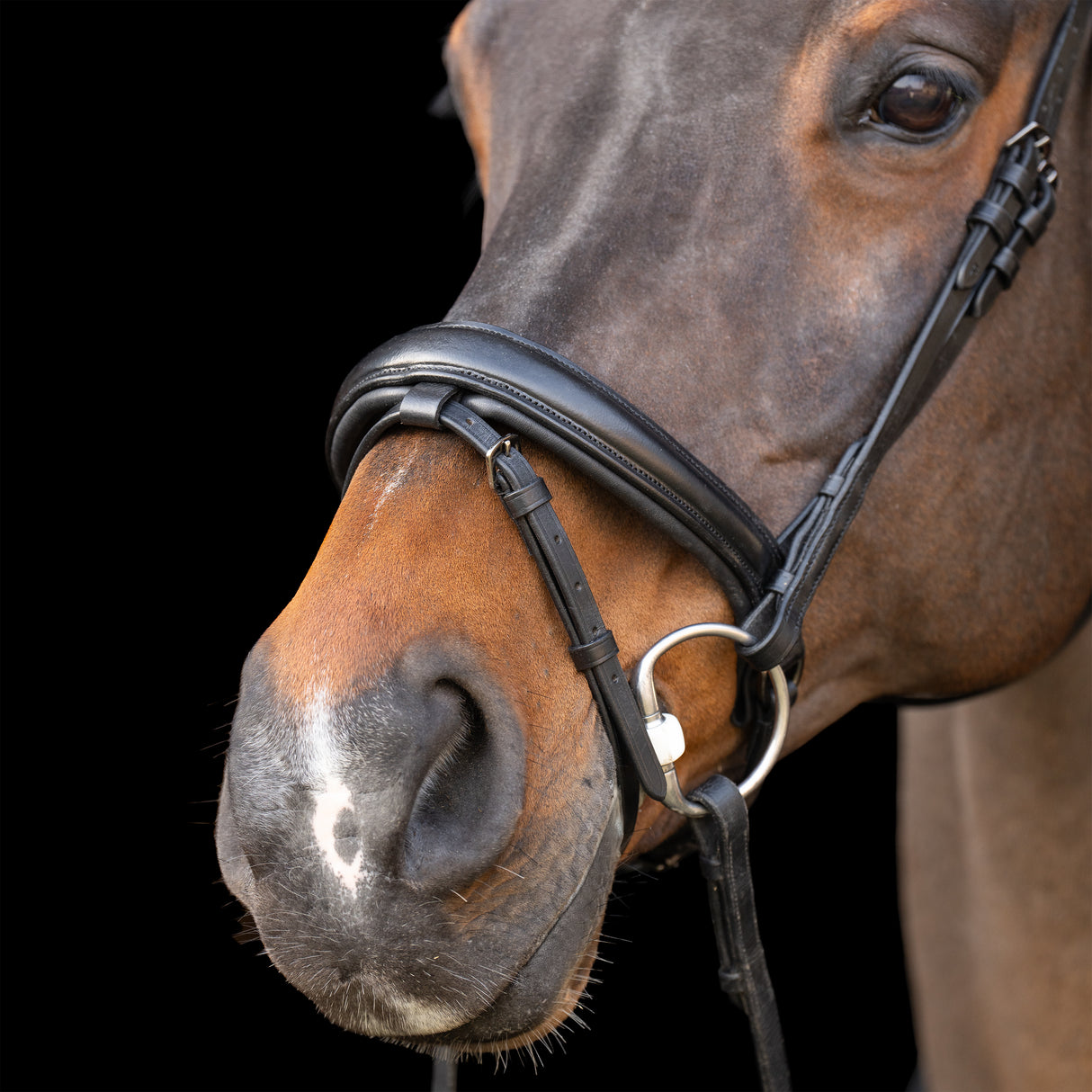 Imperial Riding Snaffle Bridle with English Noseband #colour_black-black