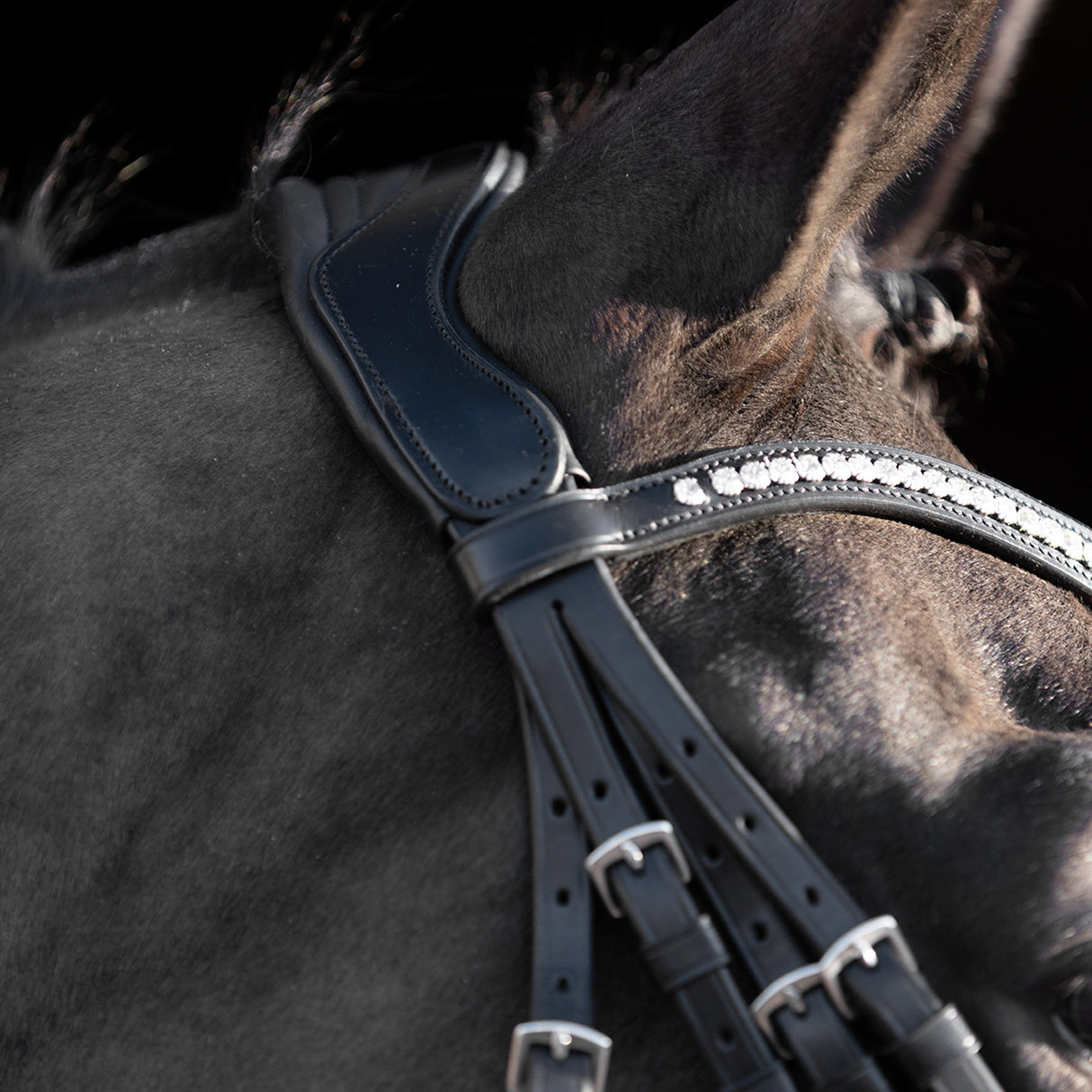 HV Polo Legacy Deluxe Weymouth Bridle #colour_black