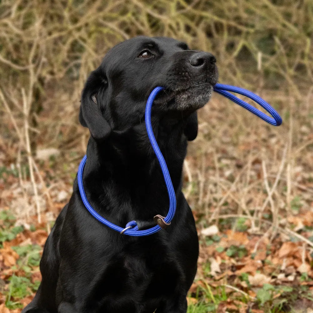 Benji & Flo Classic Slip Lead