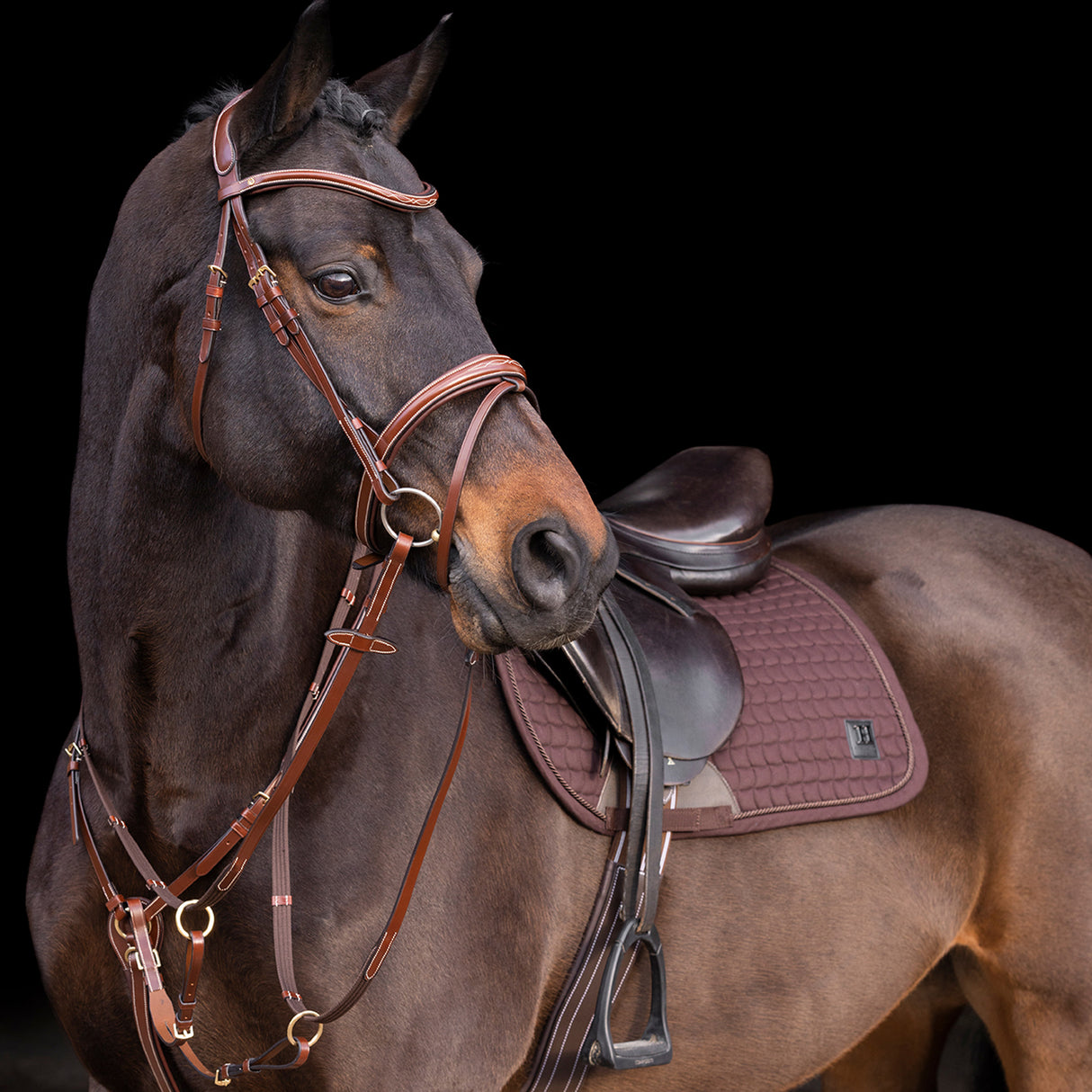 HV Polo Legacy Martingale #colour_brown