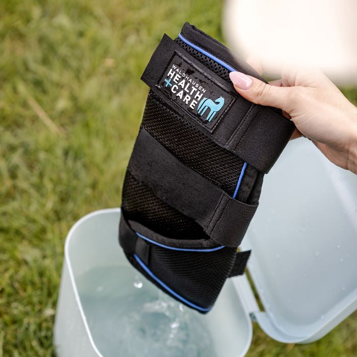 Waldhausen Heath + Care Ice Layer Boot