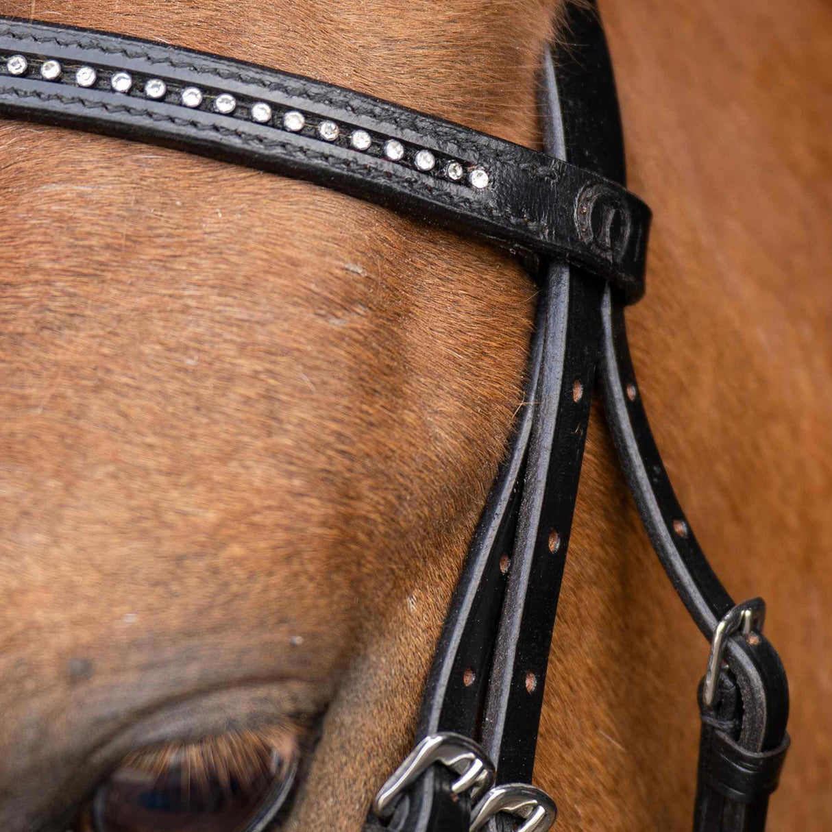 Imperial Riding Stormy Shetty Bridle