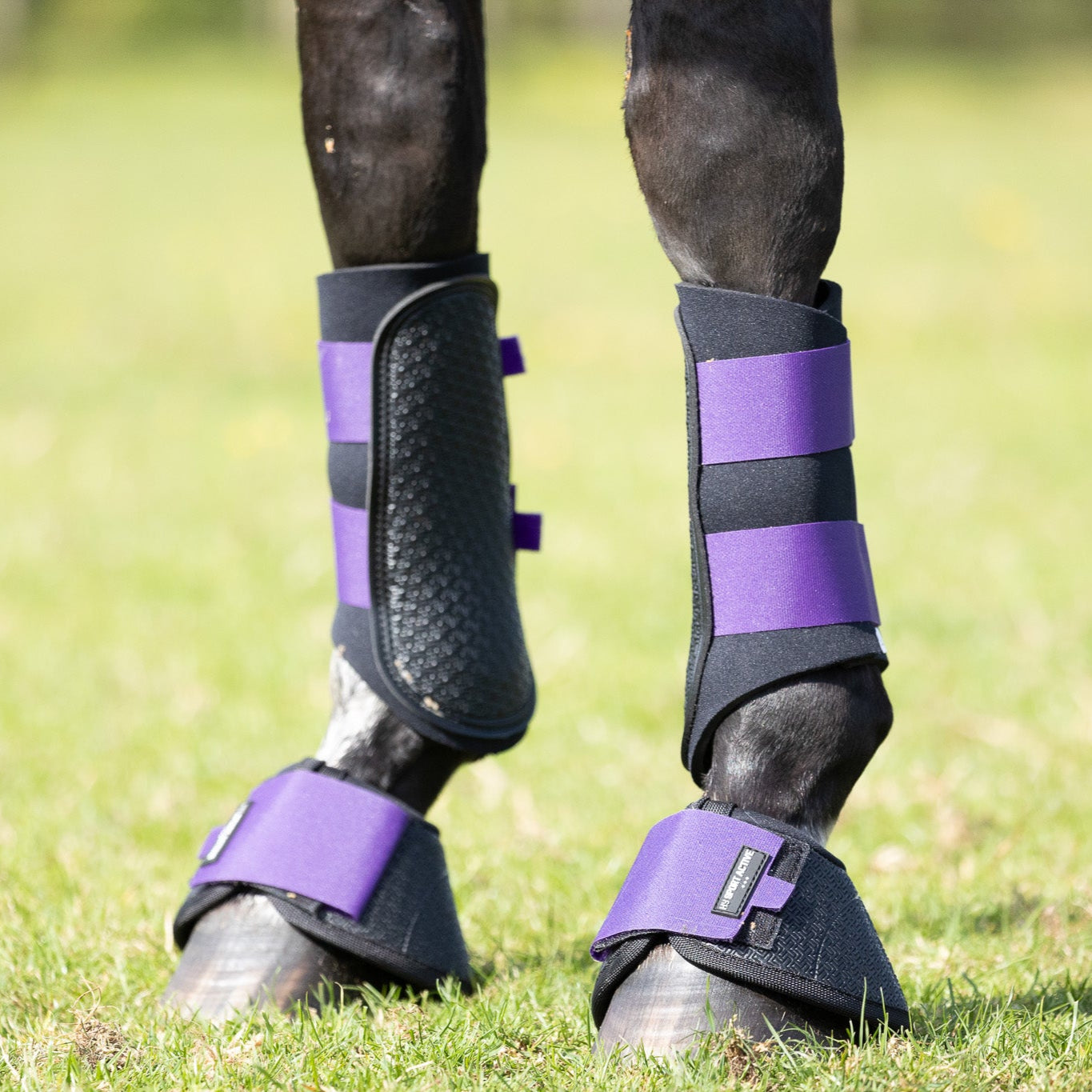 Hy Sport Active Brushing Boots #colour_royal-violet