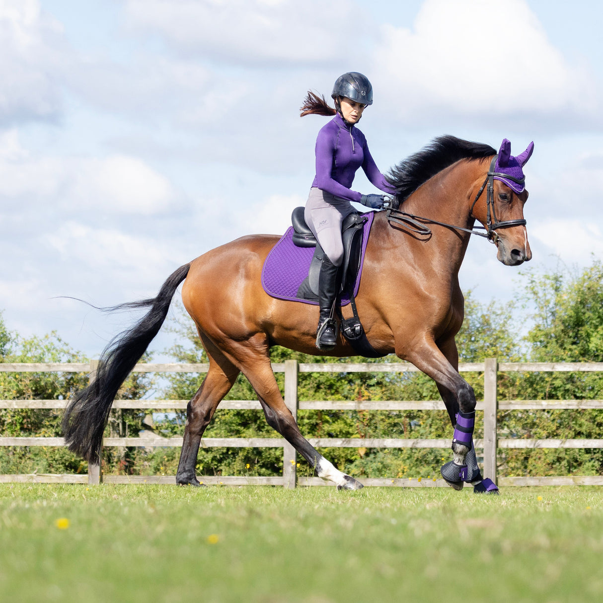 HyWITHER Sport Active Dressage Saddle Pad #colour_royal-violet