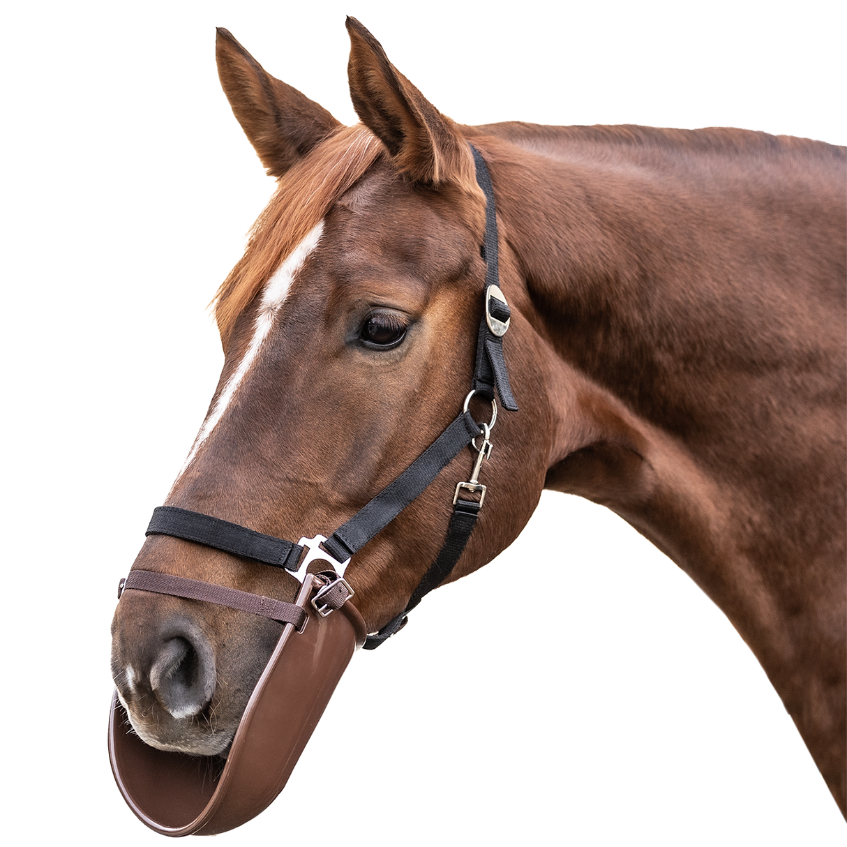 Waldhausen Plastic Clothing Bib #colour_beige