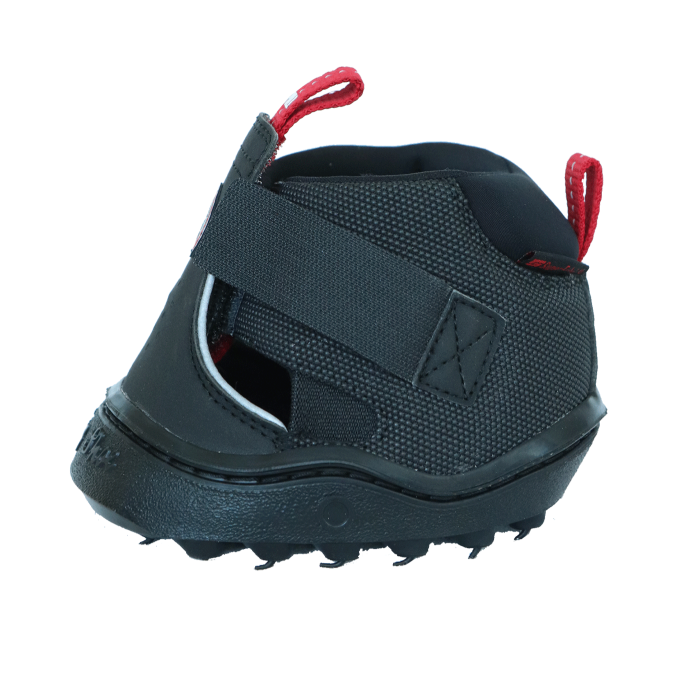 Equine Fusion Trekking Shoe #colour_black