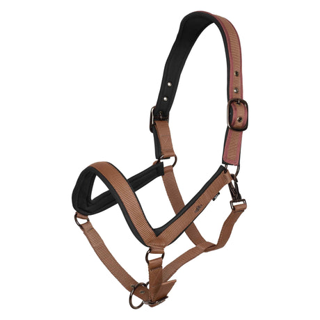 HV Polo Essential Headcollar #colour_fox
