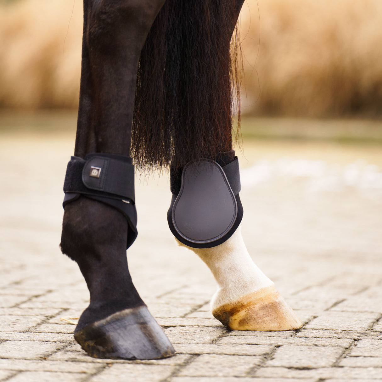 Imperial Riding Lovely Fetlock Boots #colour_tornado