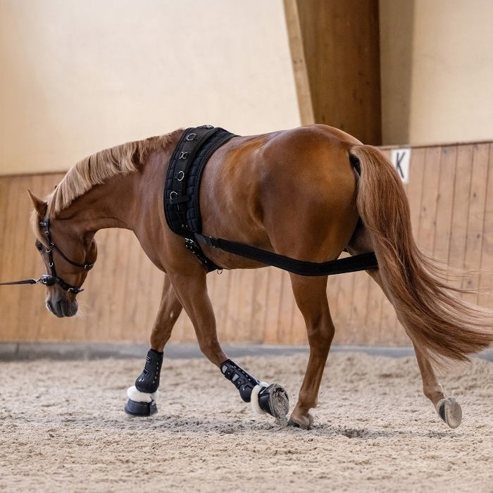 Waldhausen Body Bandage #colour_black