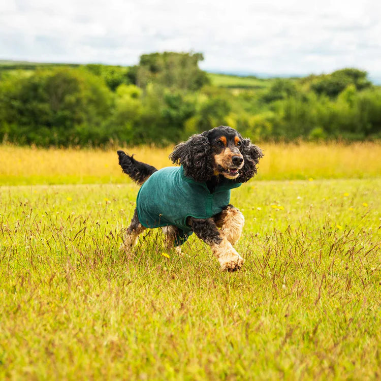 Mountain Paws Dog Robe #colour_green