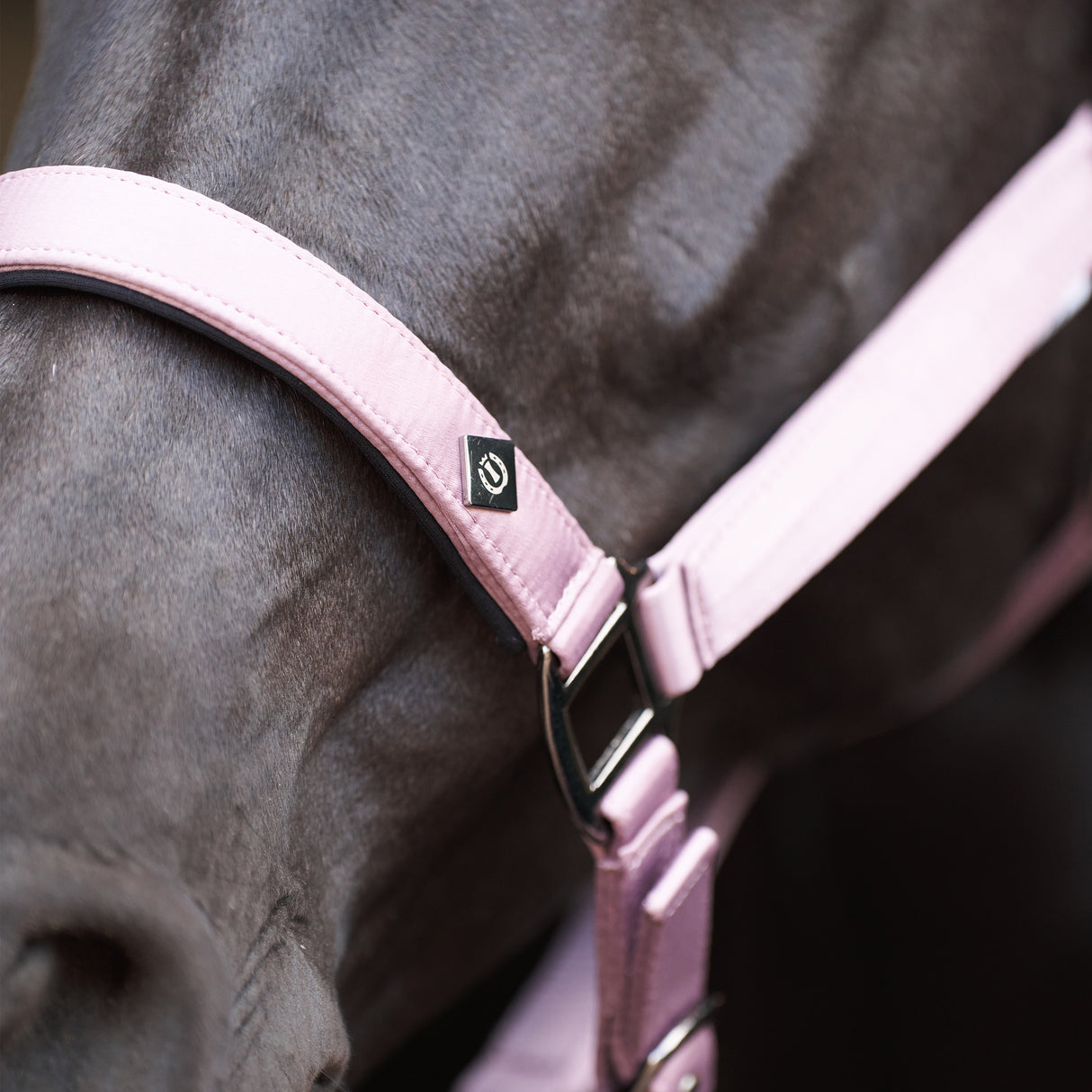 Imperial Riding Rebel Headcollar #colour_ballerina
