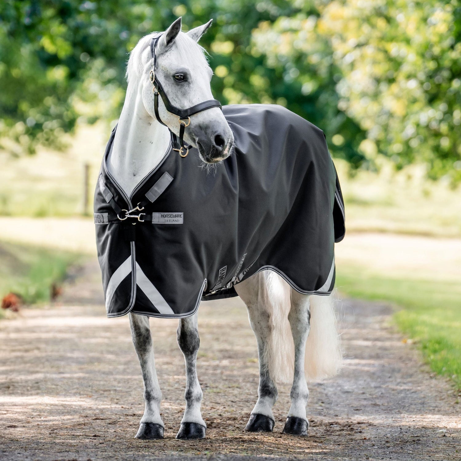 Horseware Ireland Rambo 1680D 0g Turnout Rug #colour_black-thunderstorm-grey-silver