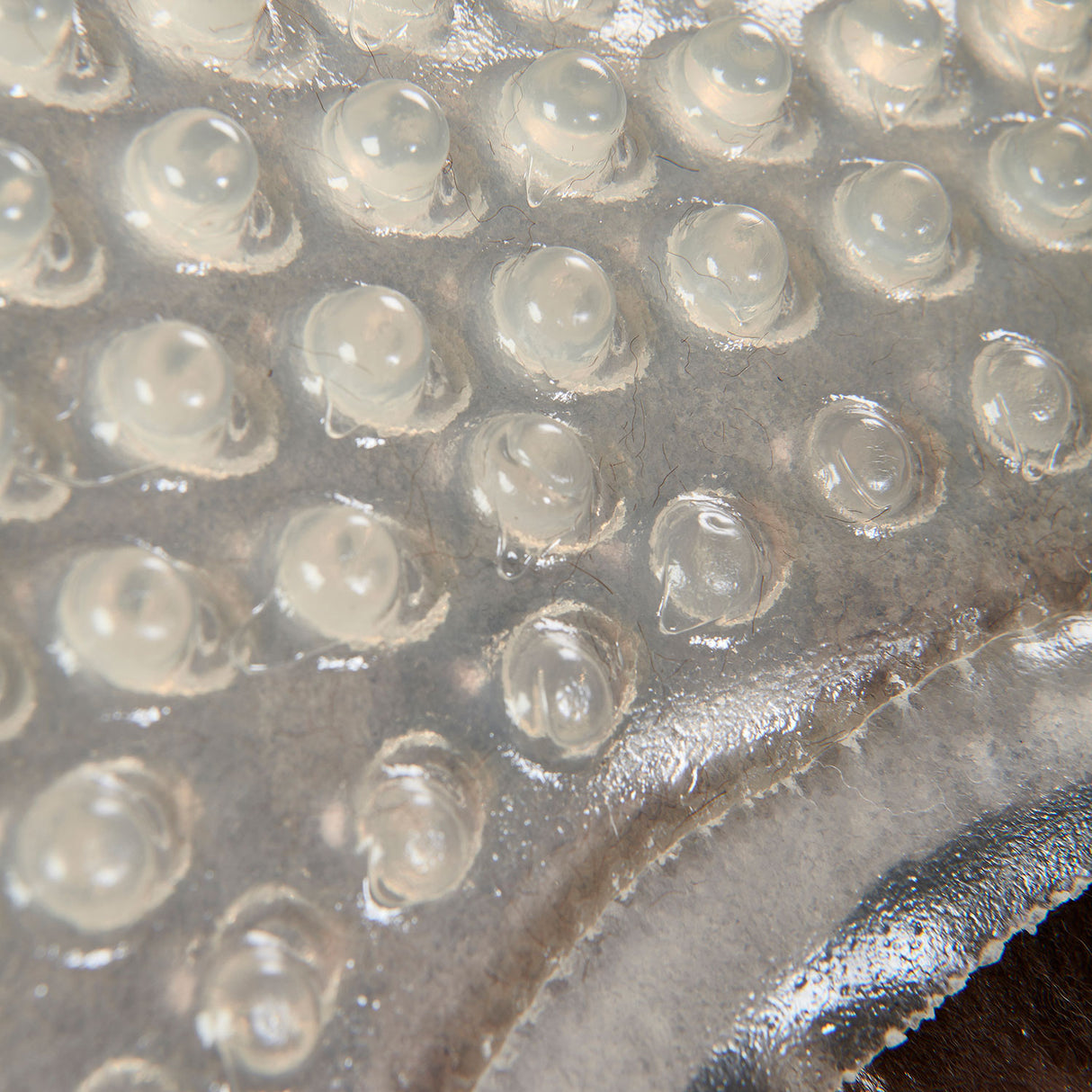 Acavallo Gel NS-S Massage-S Full Flat #colour_transparent-brown