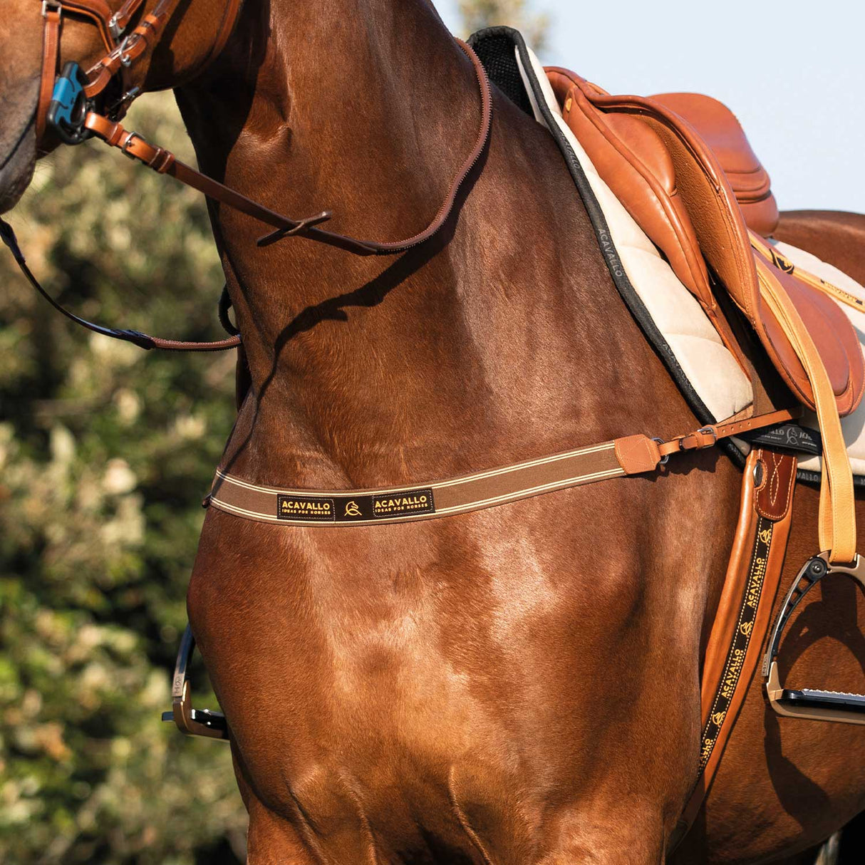 Acavallo Single Breastplate Elastic Band #colour_cognac