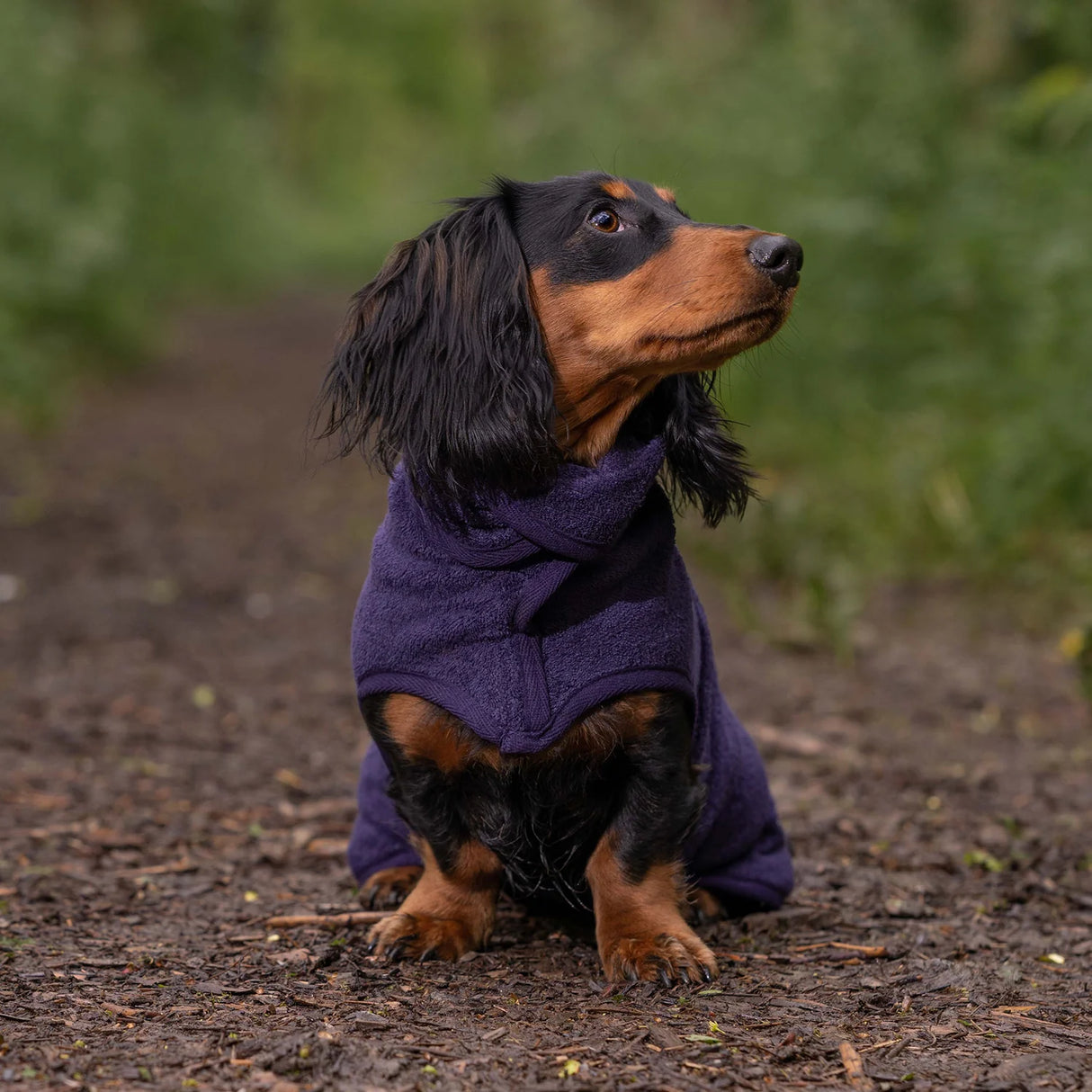Ruff & Tumble Classic Dog Drying Coat #colour_blackberry