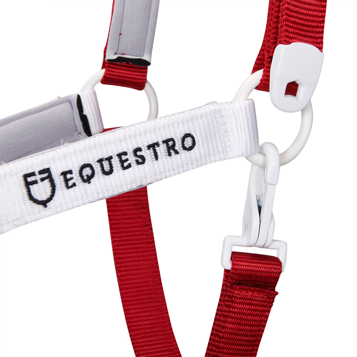 Equestro Nylon Halter With Snap Hook #colour_blue