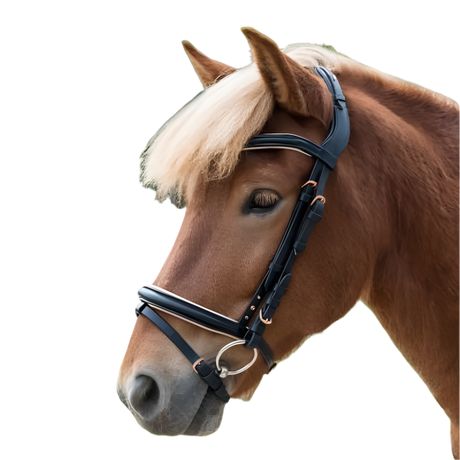 Waldhausen Icelandic Bridle Rose #colour_black-rose-gold