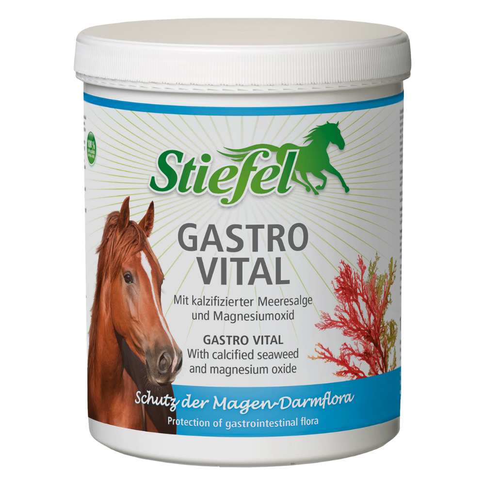 Stiefel Gastro Vital
