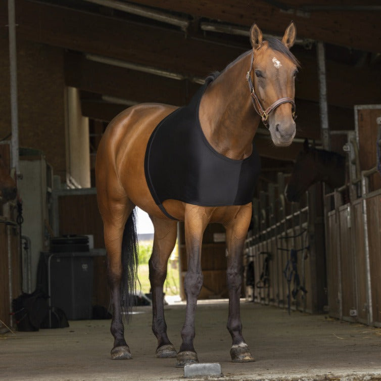 Equitheme Shoulder Protection #colour_black