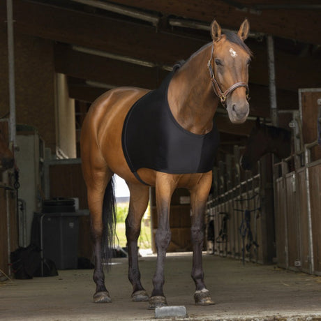 Equitheme Shoulder Protection #colour_black