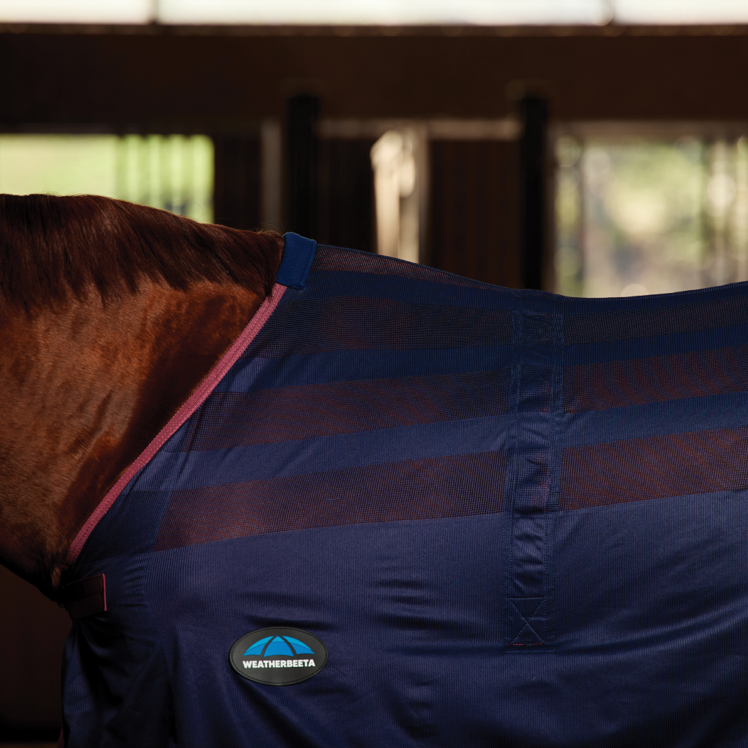 Weatherbeeta Scrim Cooler Standard Neck #colour_navy-burgundy