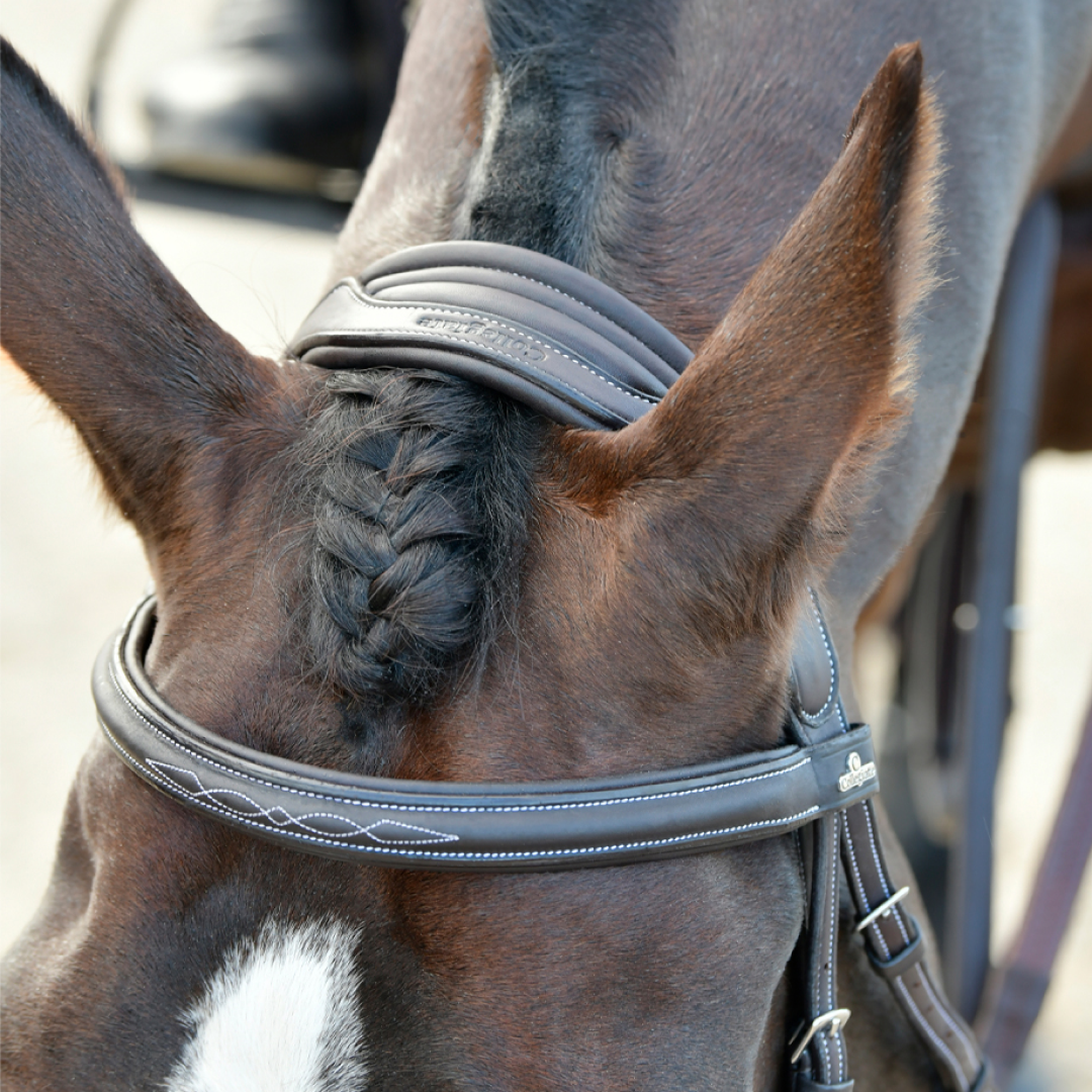 Collegiate Comfitec Opulux Fancy Stitch Padded Hanoverian Bridle #colour_dark-brown
