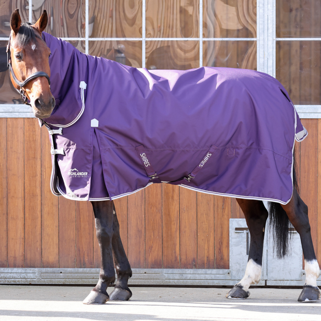 Shires Highlander Original 100g Combo Turnout Rug #colour_plum