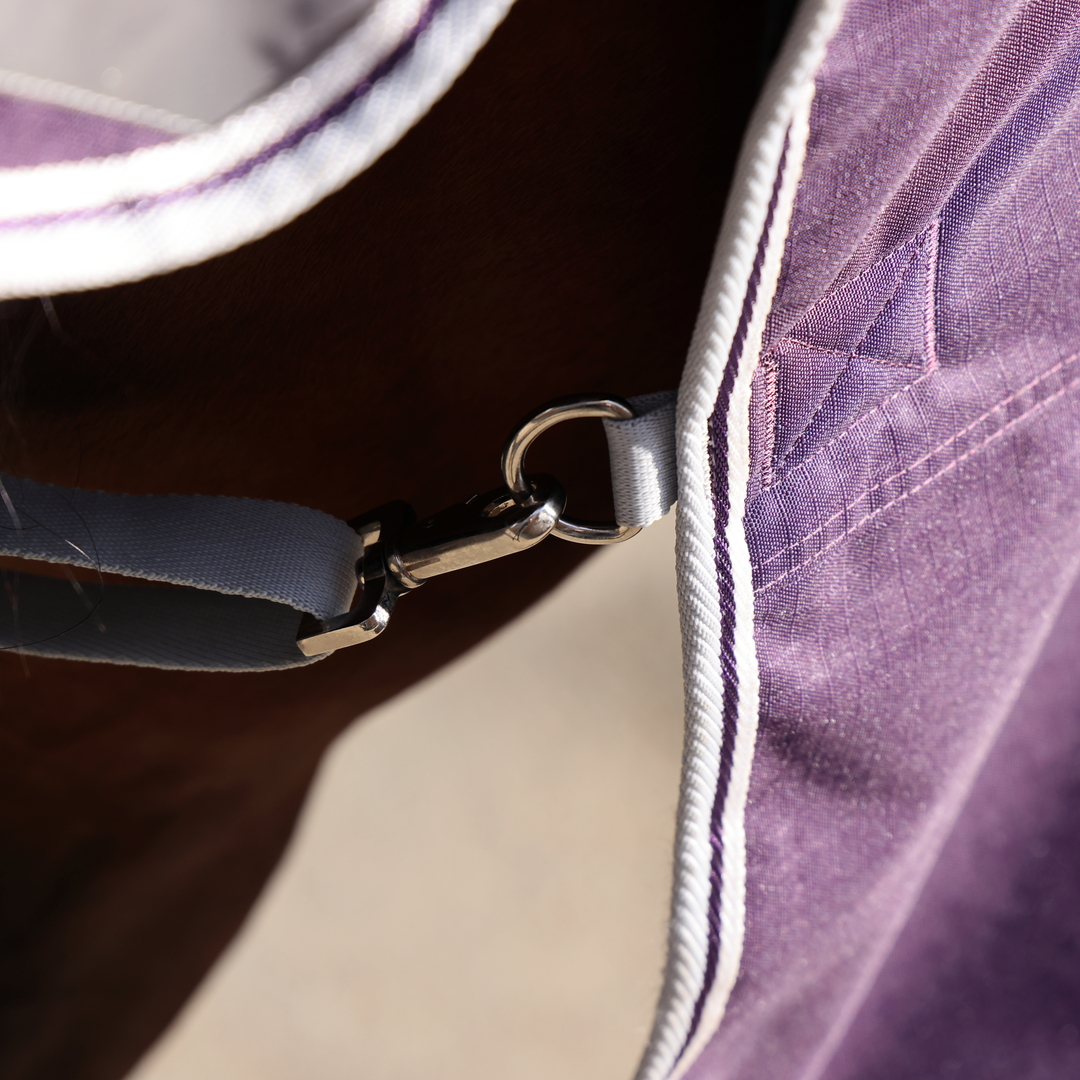 Shires Highlander Original 100g Combo Turnout Rug #colour_plum