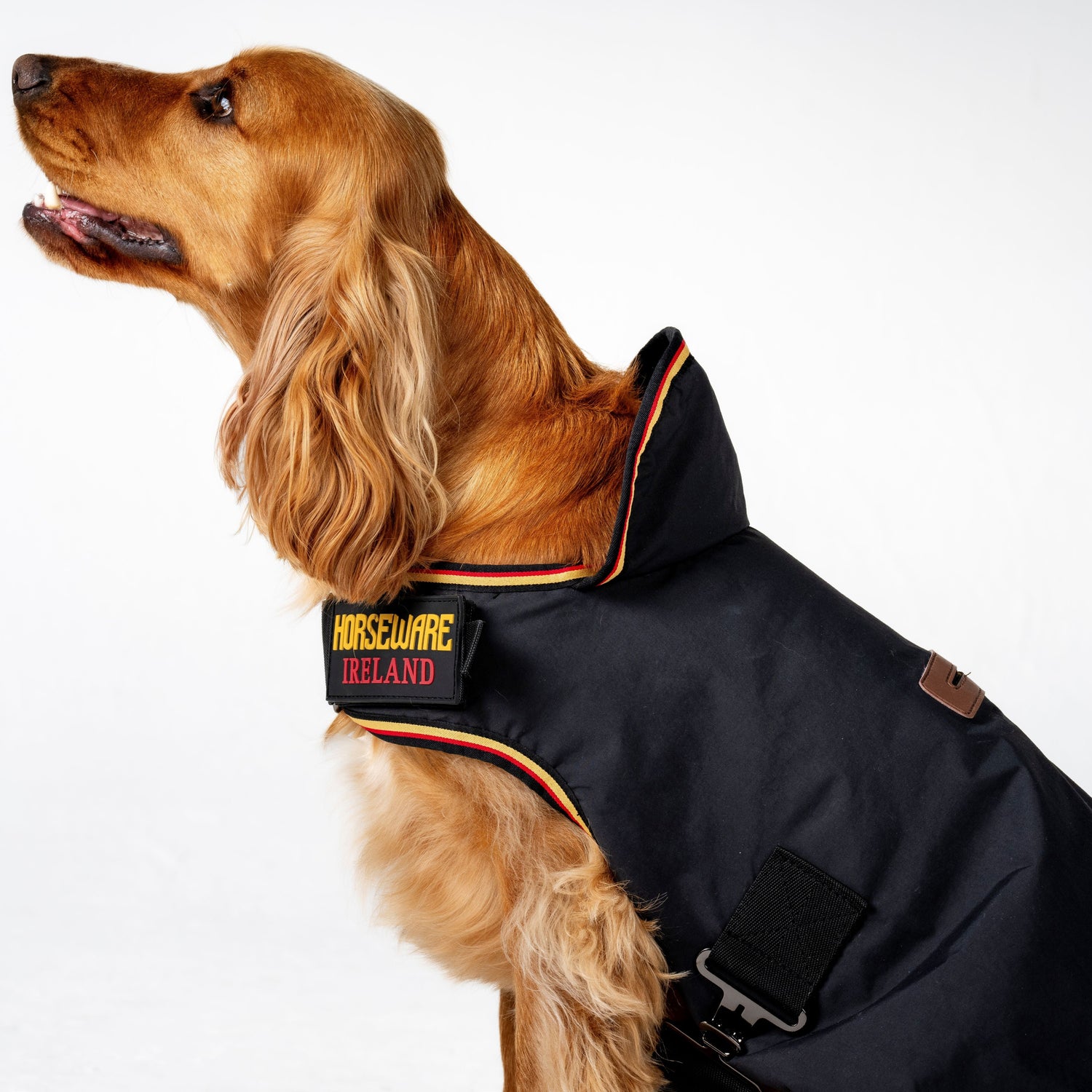Horseware Ireland Newmarket Dog Coat #colour_witney-gold