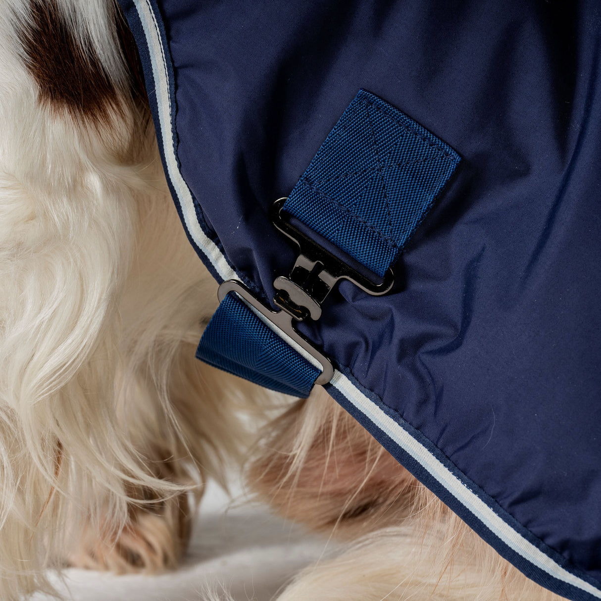 Horseware Ireland Newmarket Dog Coat #colour_witney-navy