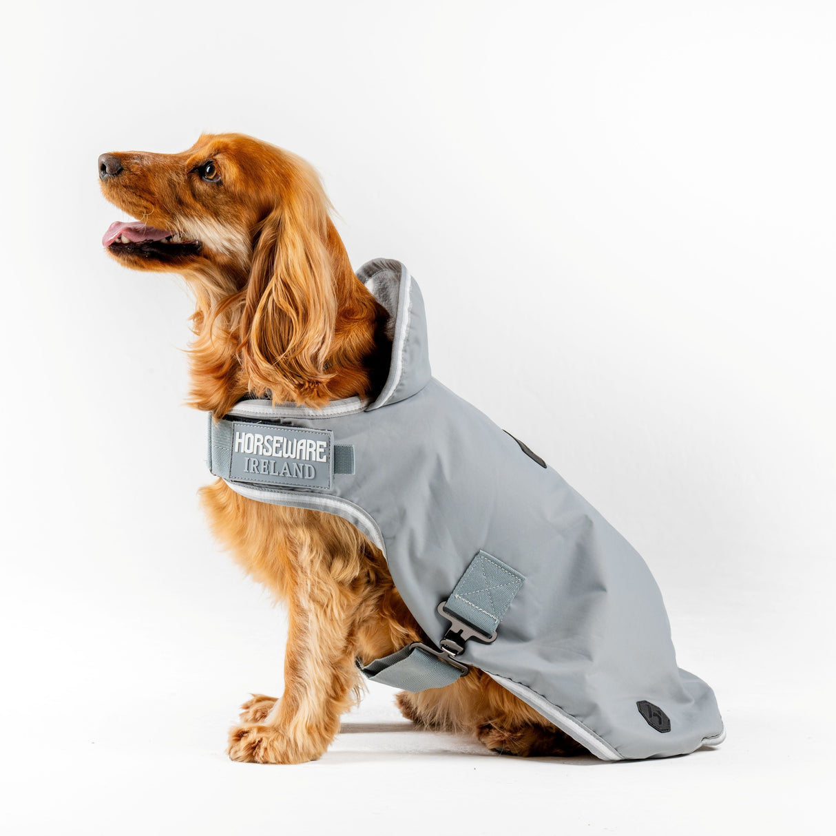 Horseware Ireland Newmarket Dog Coat #colour_witney-charcoal
