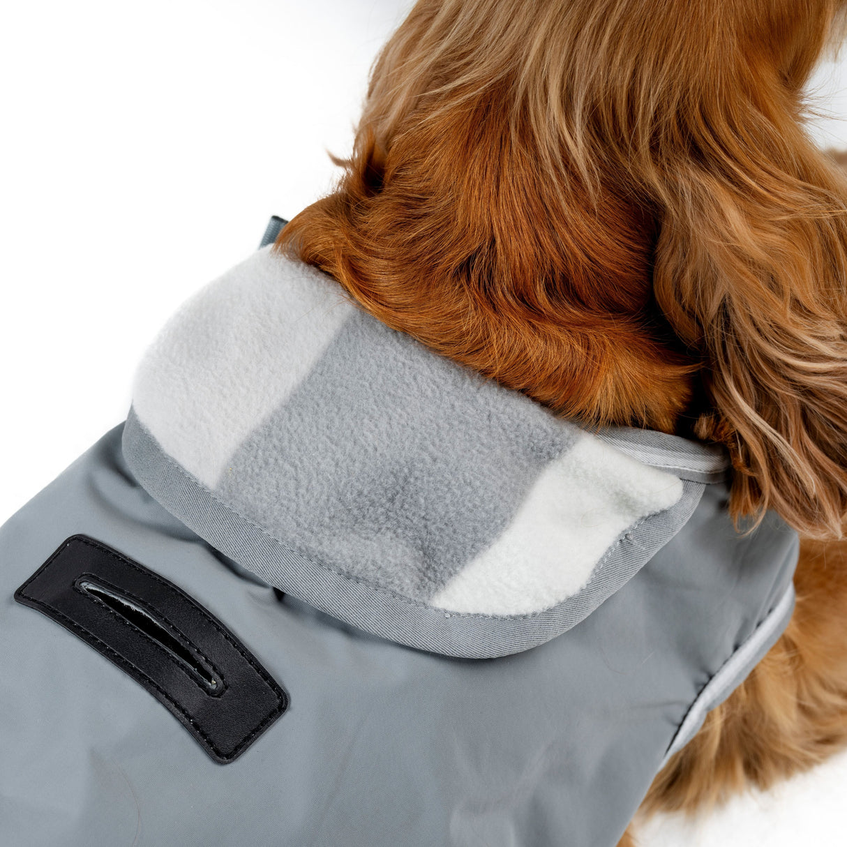 Horseware Ireland Newmarket Dog Coat #colour_witney-charcoal