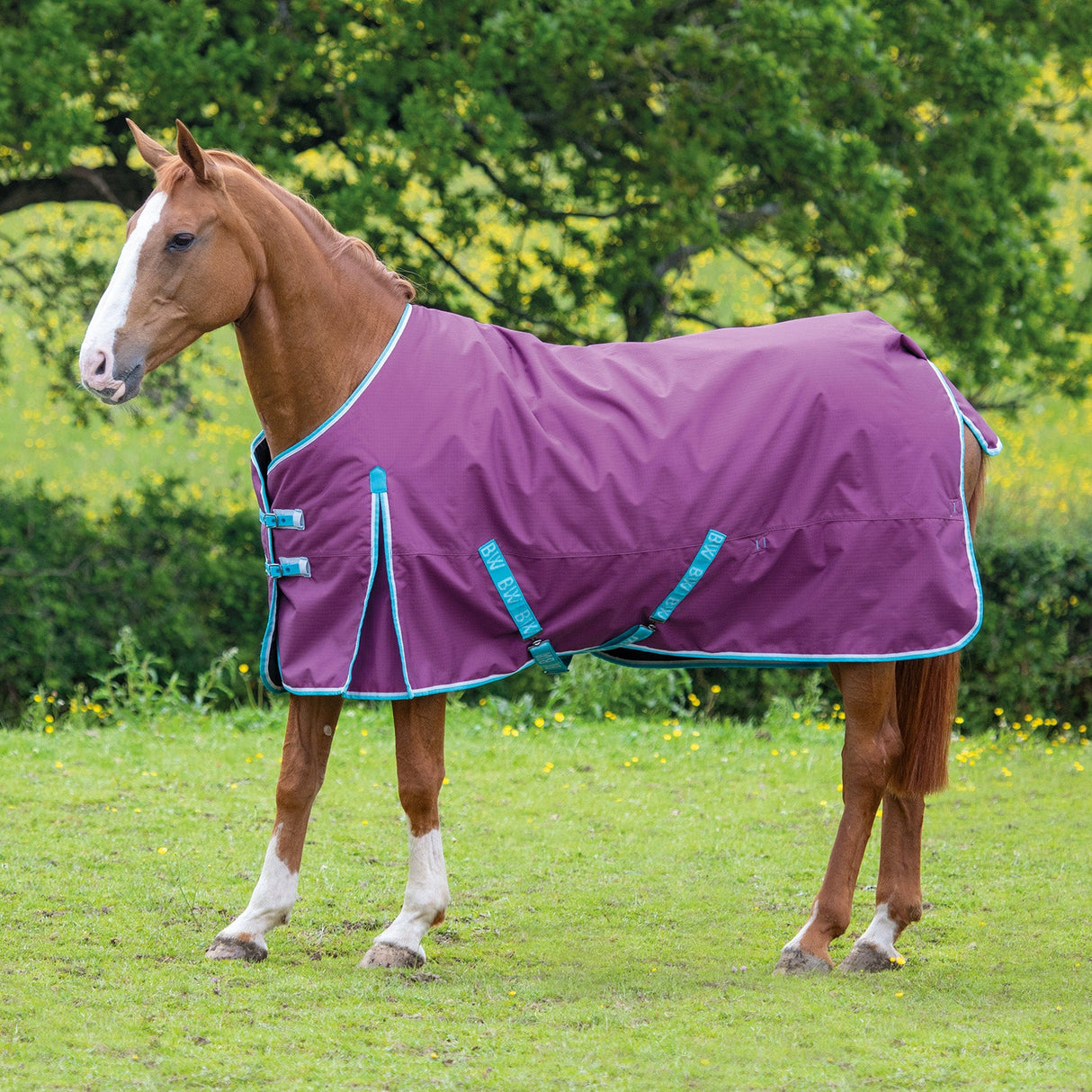 Bridleway Ontario 220g Turnout Rug