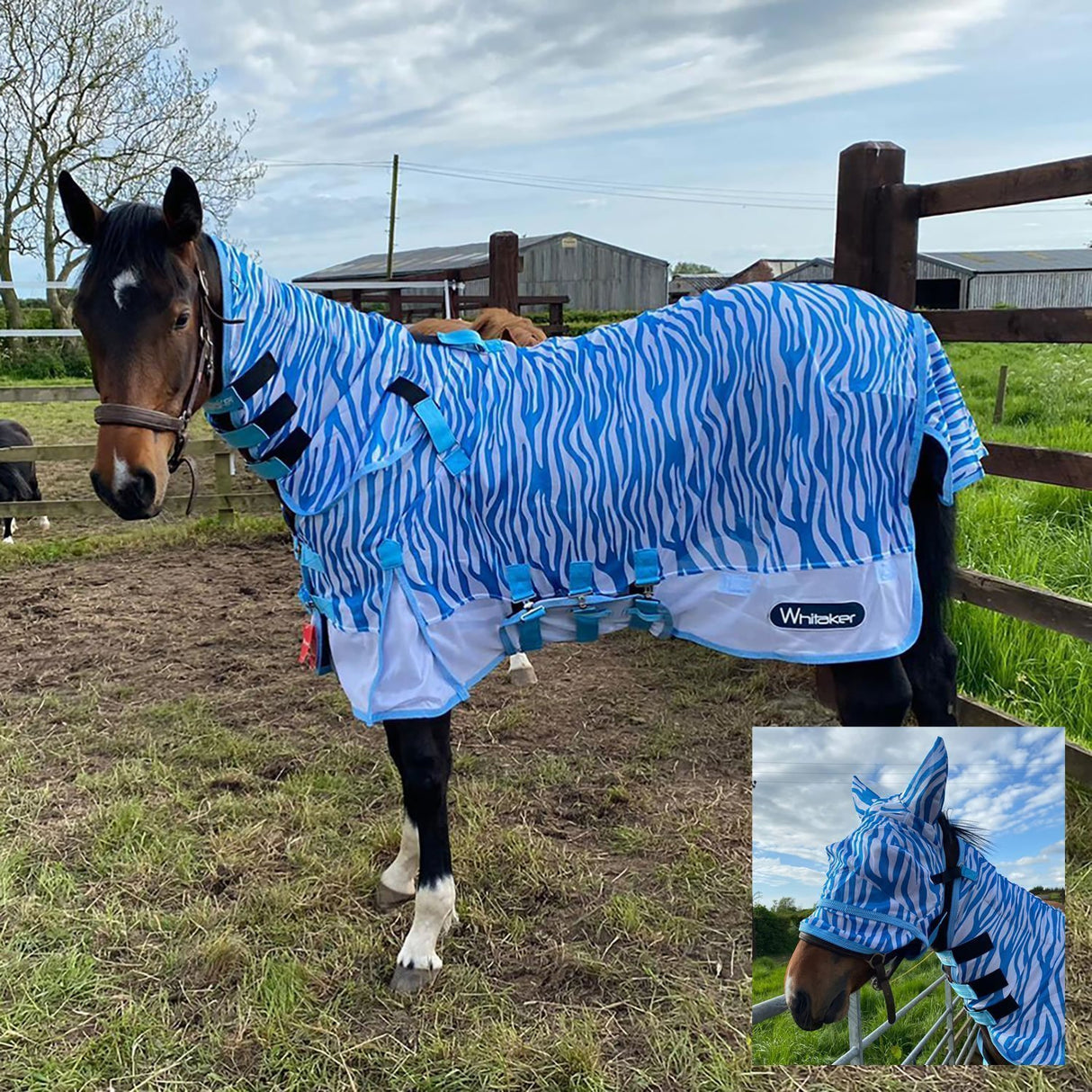 Whitaker Airton Fly Rug #colour_blue-zebra