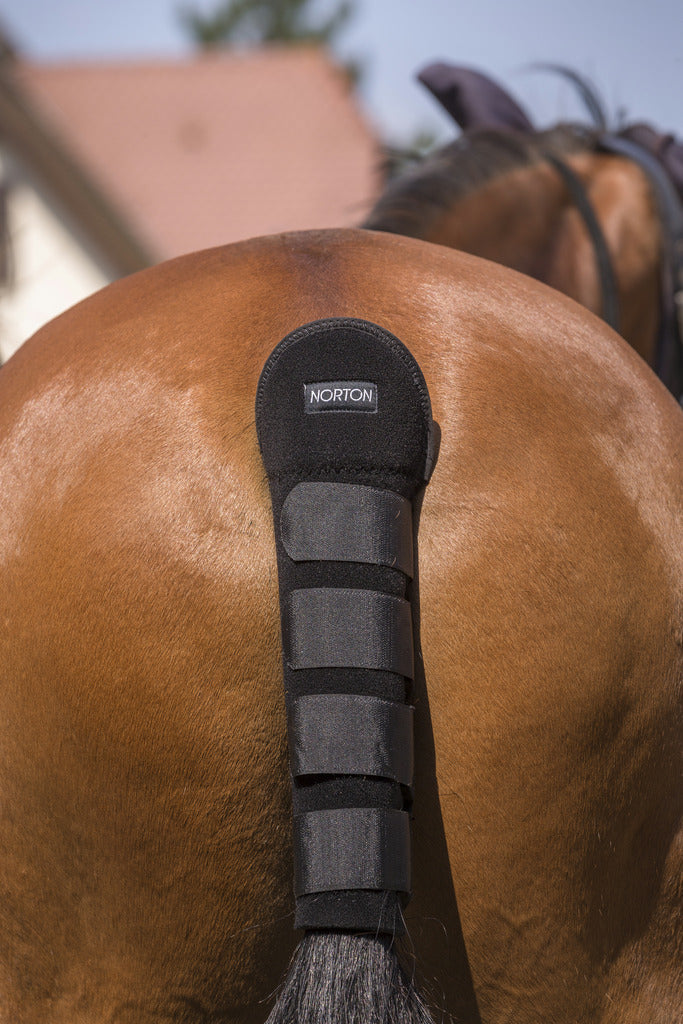 Norton High Protection Tail Guard