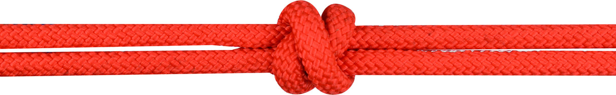 Norton Ethological Headcollar With Reins #colour_red