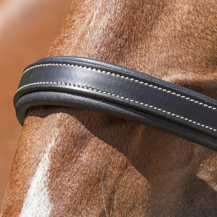 Norton Pro Grooming Leather Headcollar #colour_black