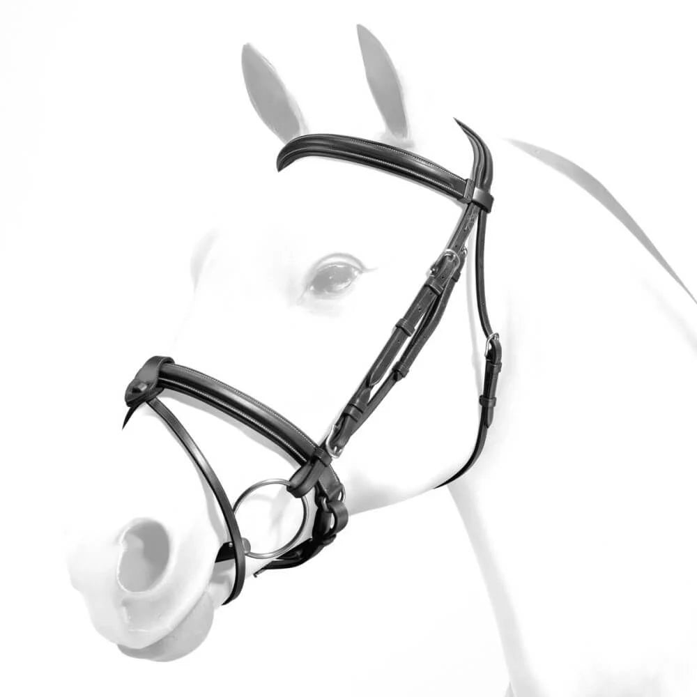 Equipe Rolled Browband Flash Bridle with Silver Fittings #colour_black
