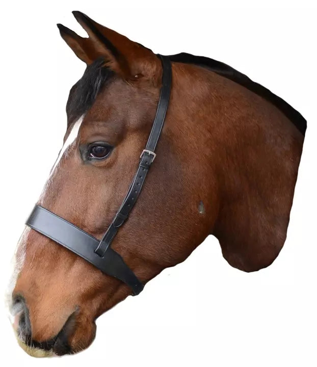 Mackey Classic Wide Flat Cavesson Noseband #colour_black