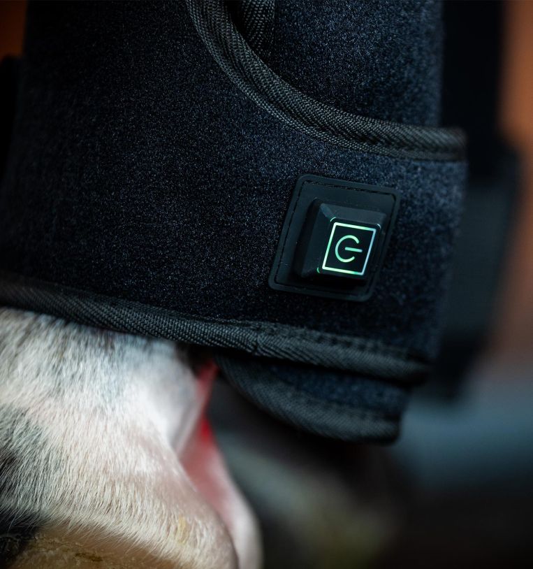 Horseware Ireland LED Red Light Therapy Leg Wrap