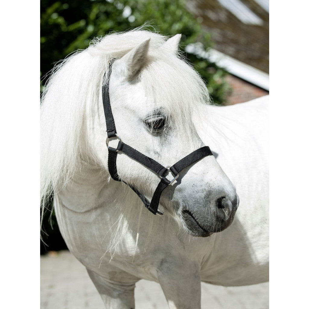 HKM Head Collar for Mini-Shetty #colour_black