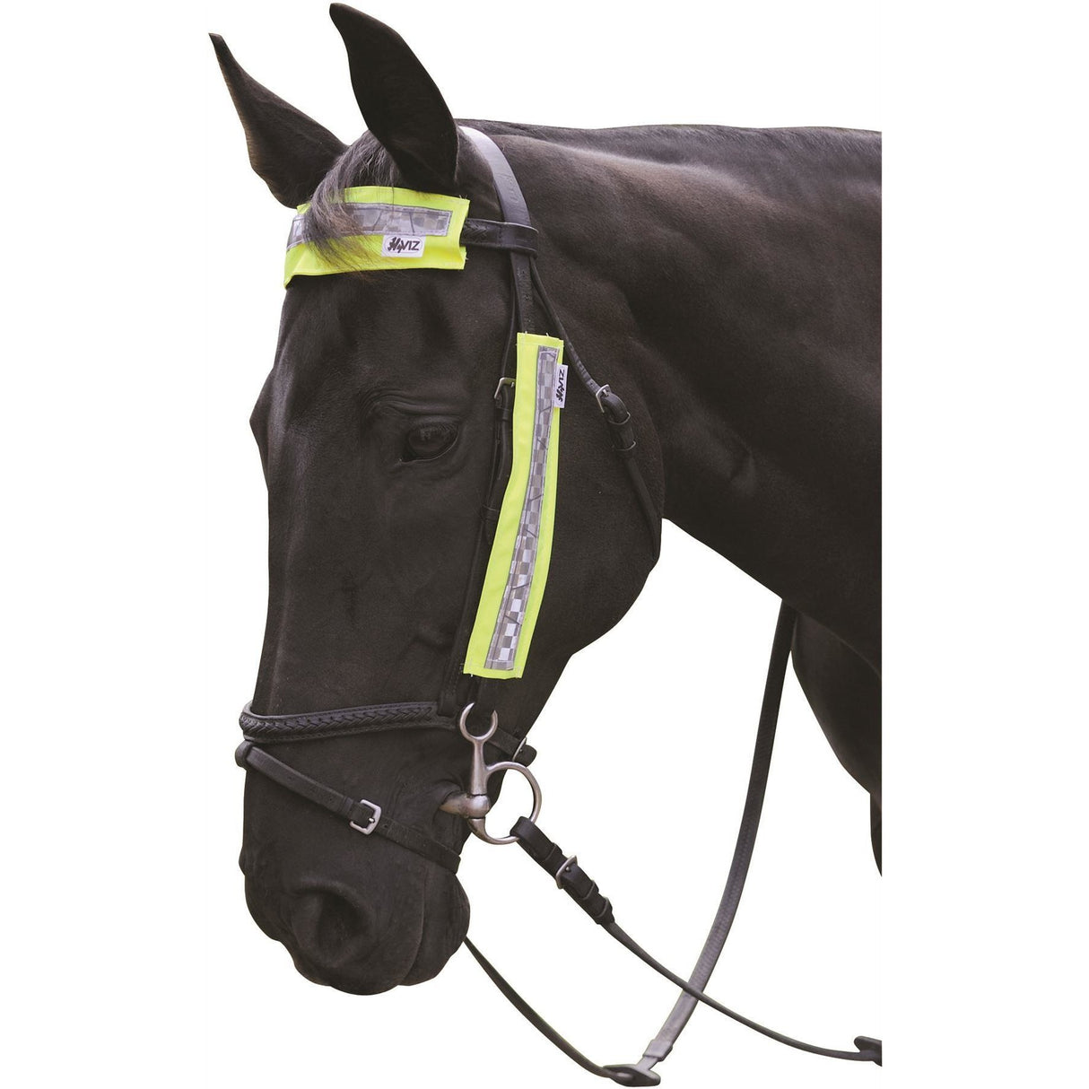 HyVIZ Bridle Set