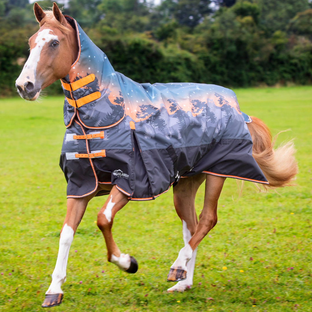 Shires Highlander Original 200g Turnout Combo Rug #colour_winter-sun