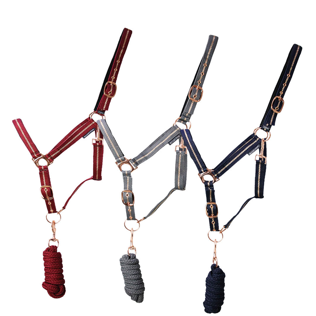 Hy Equestrian Rose Glitter Head Collar & Lead Rope Set