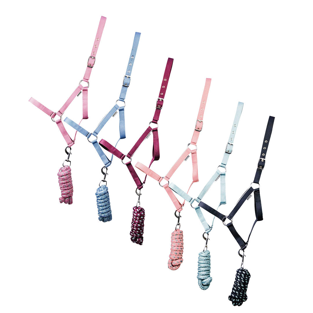 Hy Equestrian Synergy Head Collar and Lead Rope Set