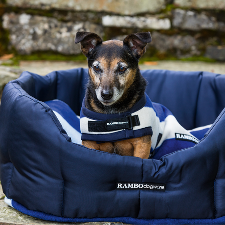 #colour_witney-stripe-navy