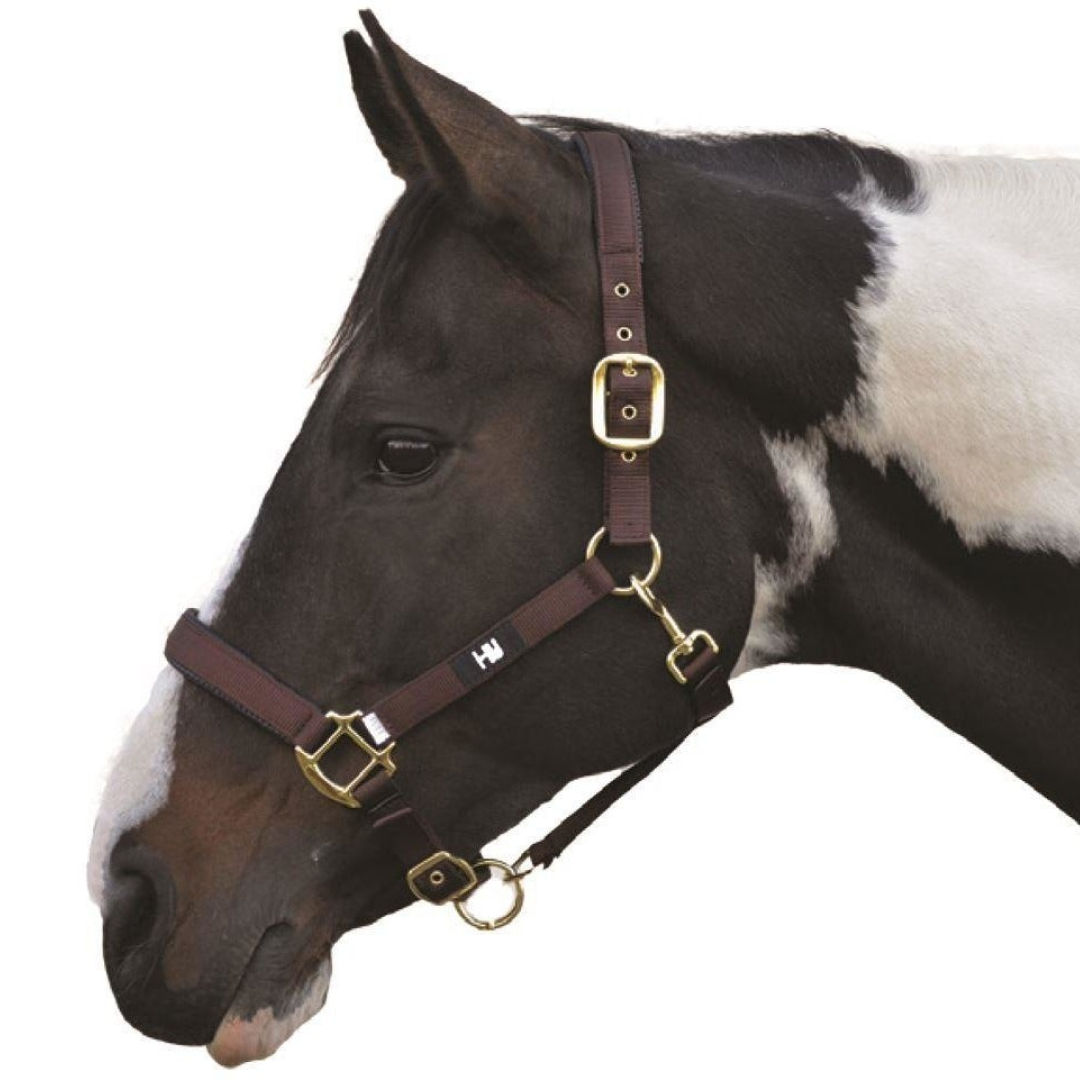 #colour_chocolate-brown