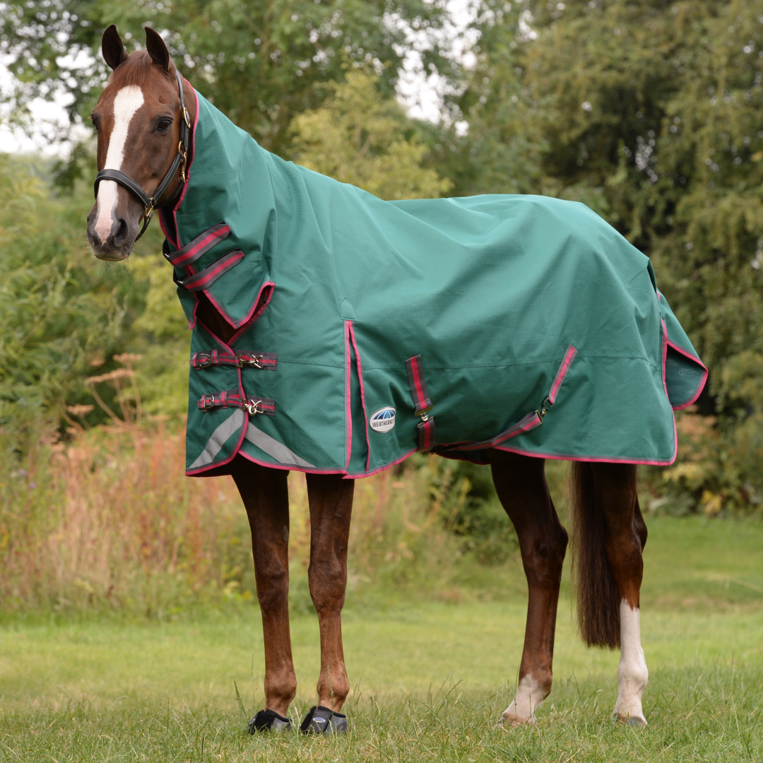 Weatherbeeta Comfitec Plus Dynamic II Combo Neck Lite #colour_green-grey-red